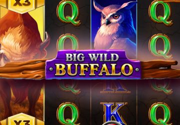 Игра Big Wild Buffalo в АйсБет казино